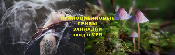 MDMA Богданович